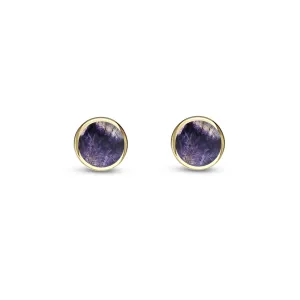 9ct Yellow Gold Blue John 6mm Stud Earrings