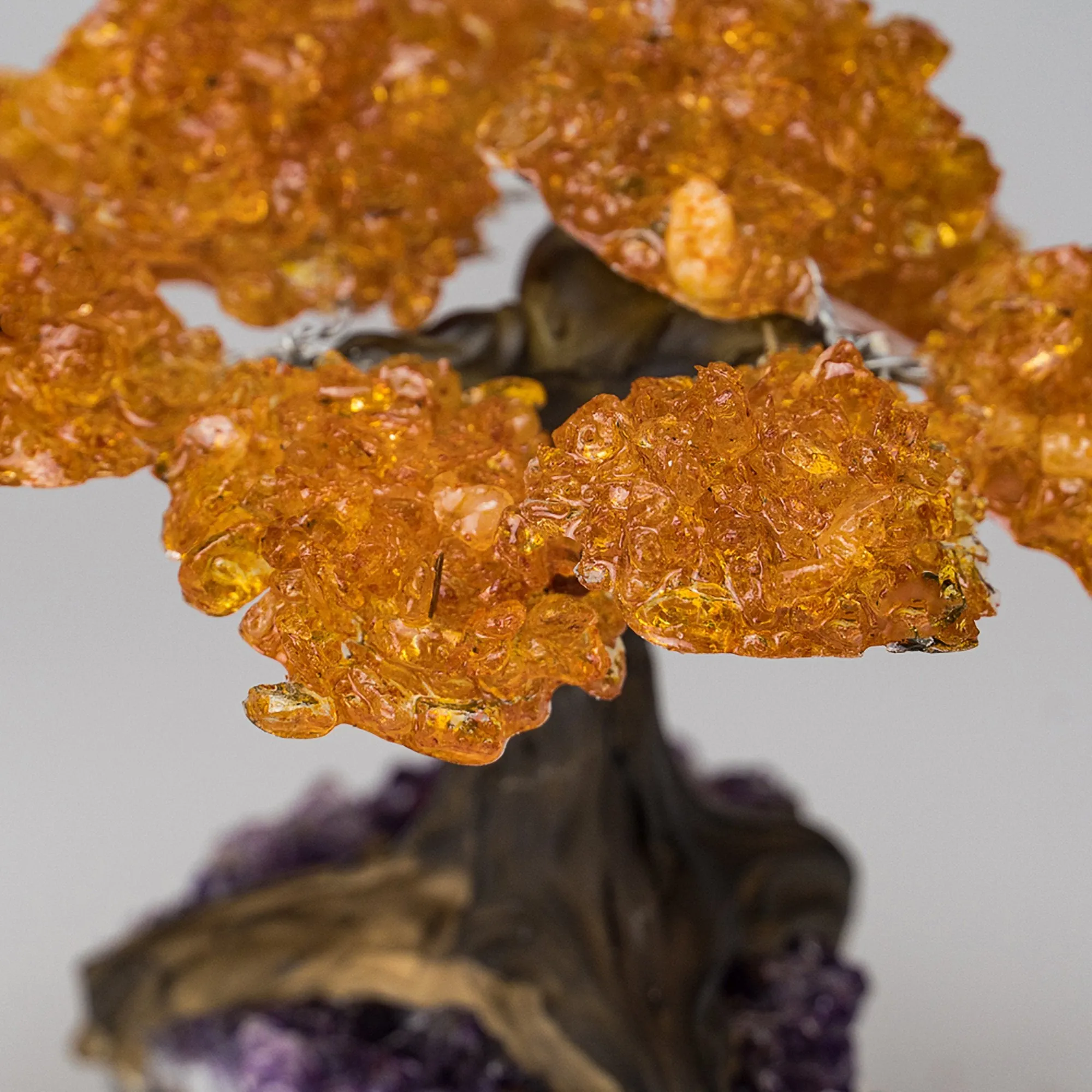 Medium - Genuine Citrine Clustered Gemstone Tree on Amethyst Matrix (The Money Tree)