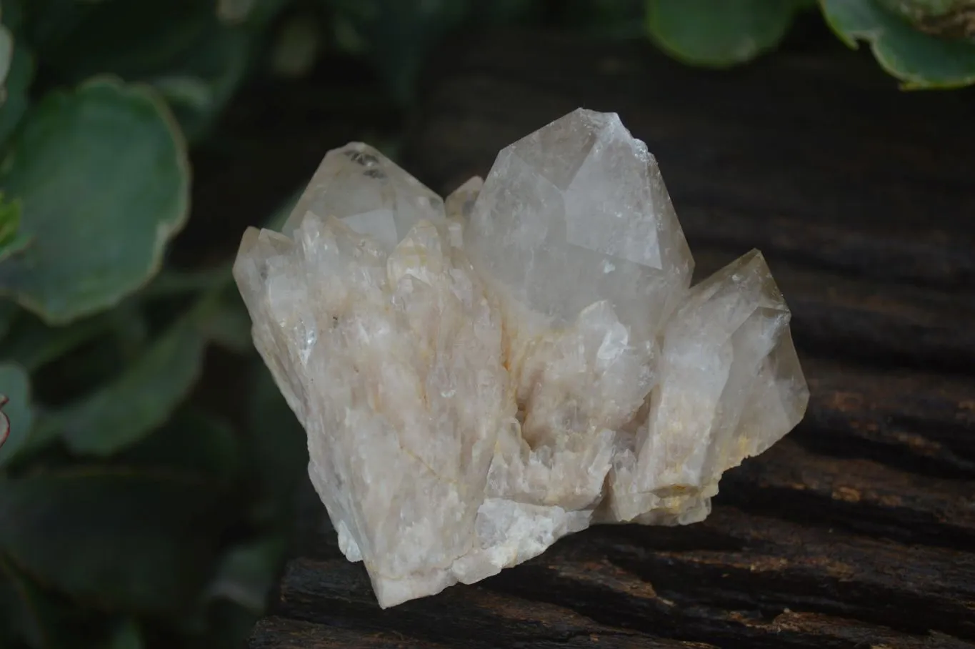 Natural Cascading White Phantom Quartz Clusters x 6 From Luena, Congo