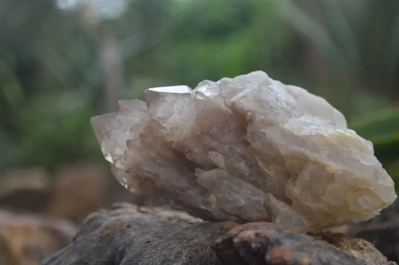 Natural Cascading White Phantom Quartz Clusters x 6 From Luena, Congo