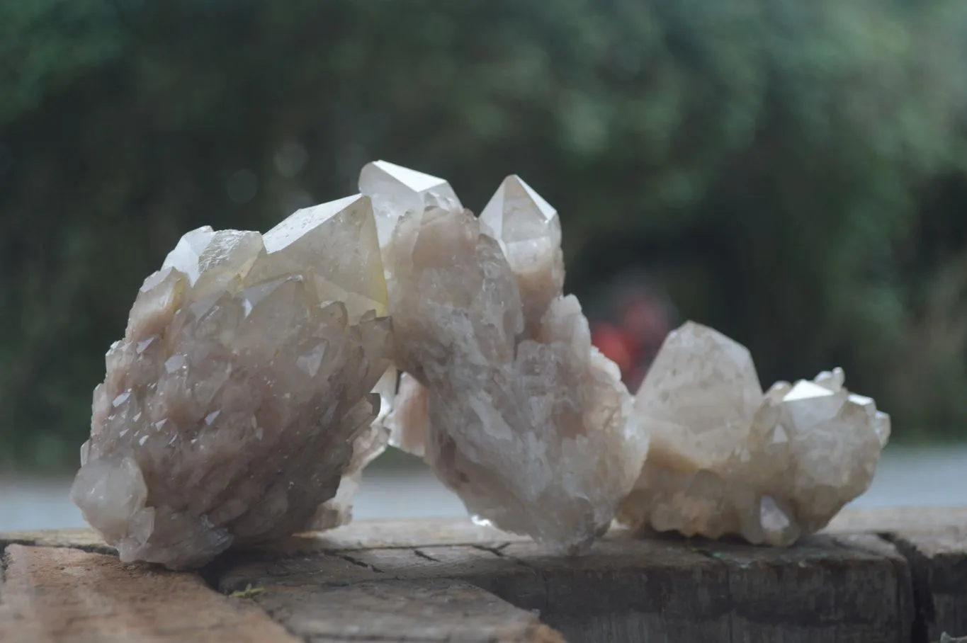 Natural Cascading White Phantom Quartz Clusters x 6 From Luena, Congo