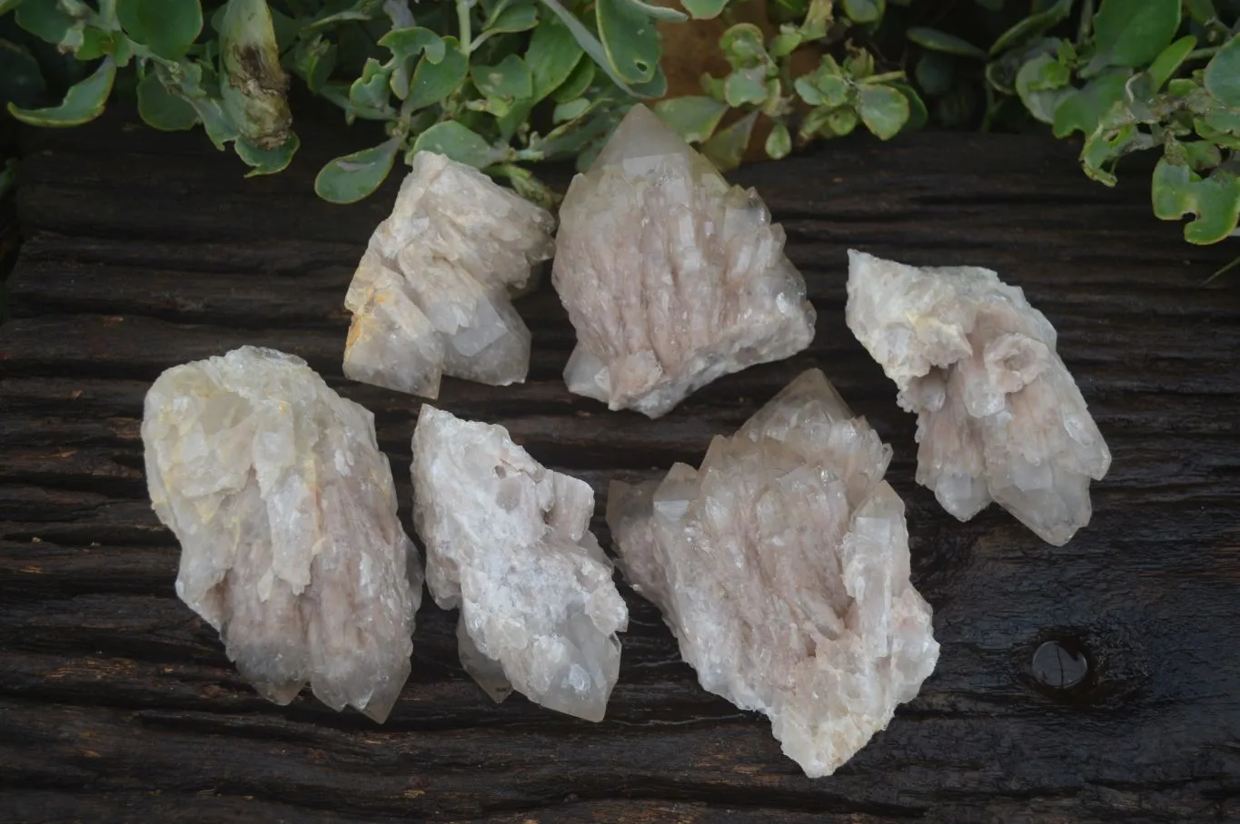 Natural Cascading White Phantom Quartz Clusters x 6 From Luena, Congo