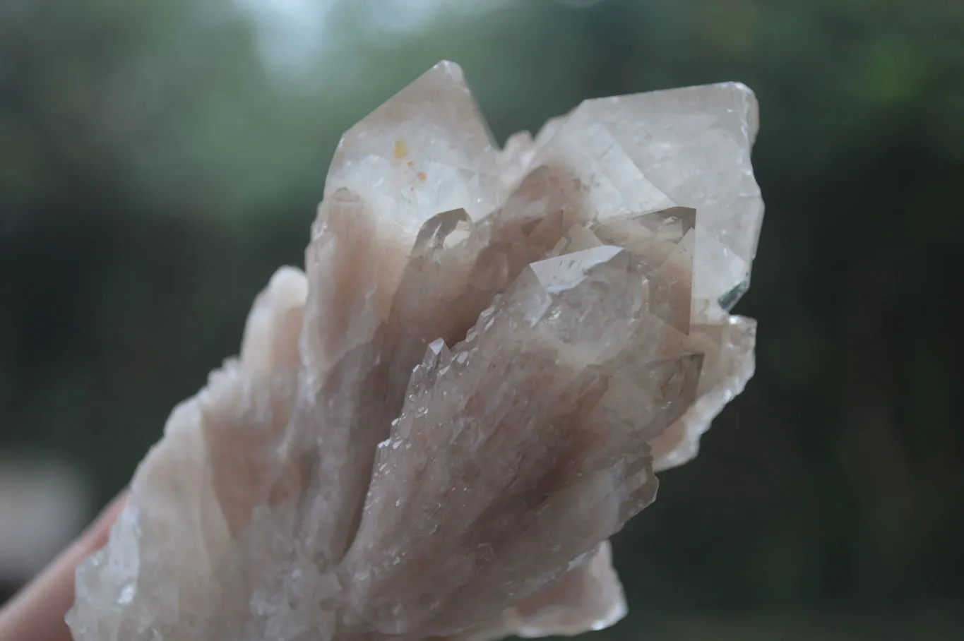 Natural Cascading White Phantom Quartz Clusters x 6 From Luena, Congo