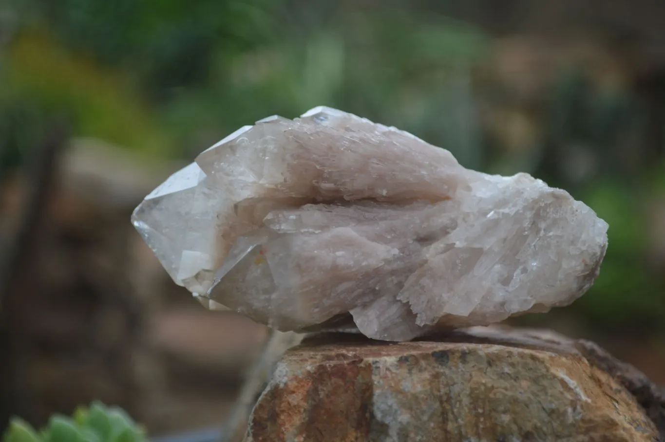 Natural Cascading White Phantom Quartz Clusters x 6 From Luena, Congo