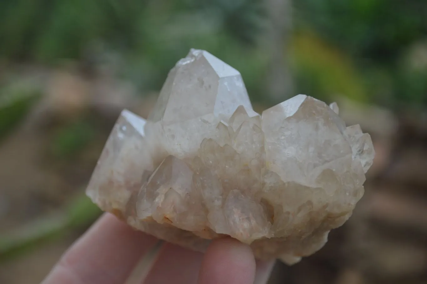 Natural Cascading White Phantom Quartz Clusters x 6 From Luena, Congo