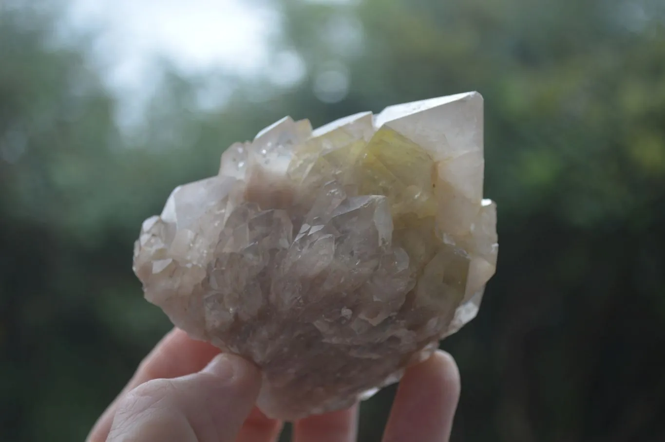 Natural Cascading White Phantom Quartz Clusters x 6 From Luena, Congo