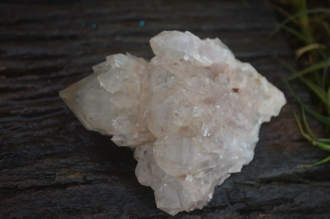 Natural Cascading White Phantom Quartz Clusters x 6 From Luena, Congo