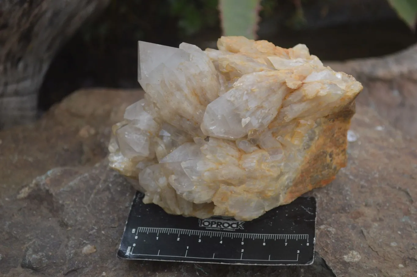 Natural Cascading White Phantom Smokey Quartz Specimens x 3 From Luena, Congo