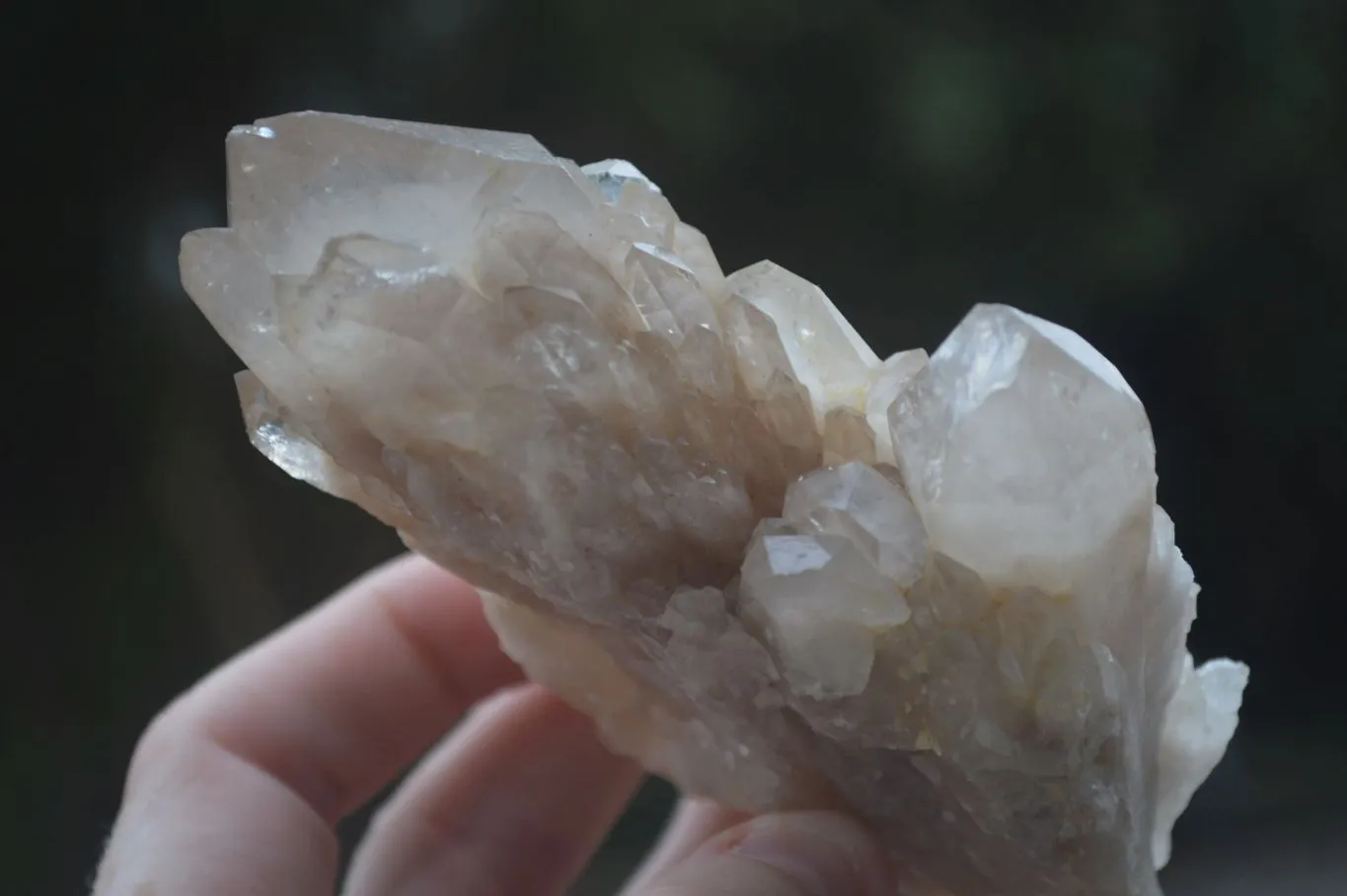 Natural Cascading White Phantom Smokey Quartz Specimens x 3 From Luena, Congo