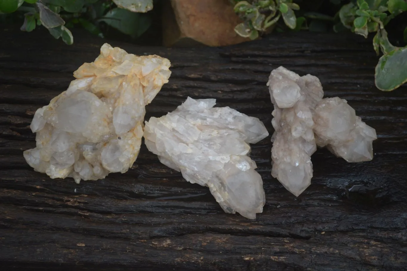 Natural Cascading White Phantom Smokey Quartz Specimens x 3 From Luena, Congo