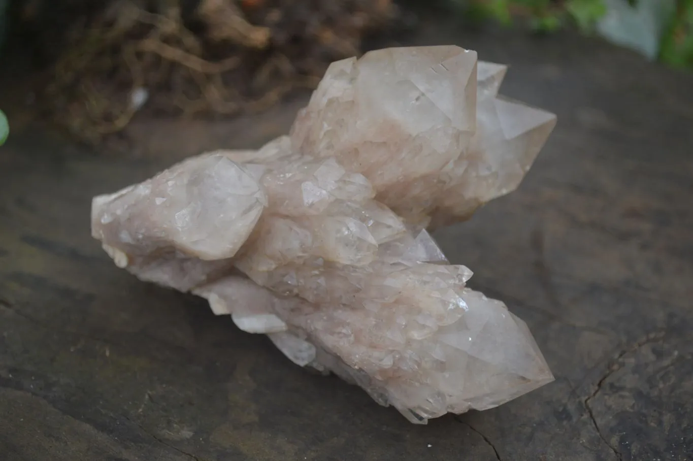 Natural Cascading White Phantom Smokey Quartz Specimens x 3 From Luena, Congo