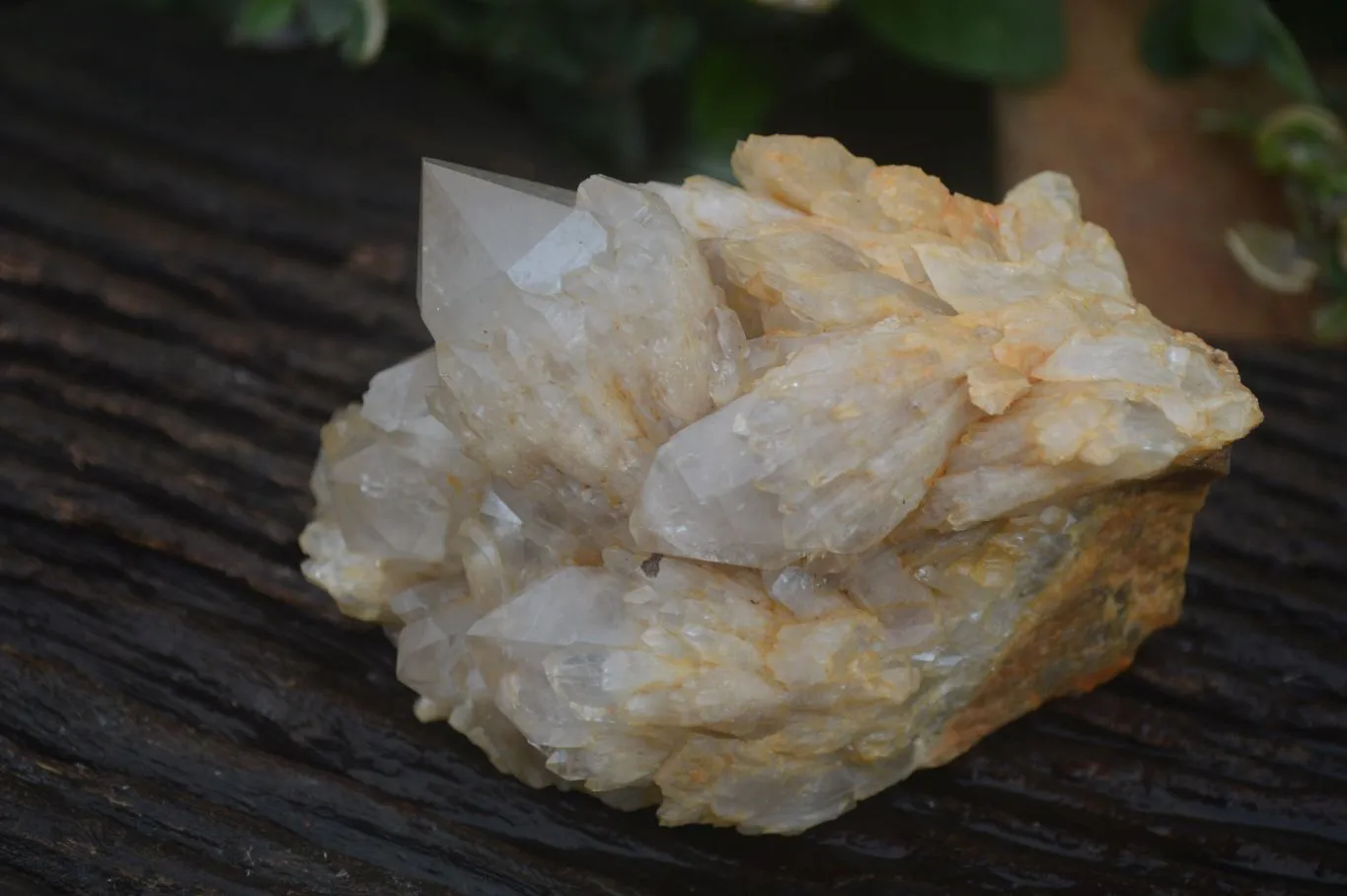 Natural Cascading White Phantom Smokey Quartz Specimens x 3 From Luena, Congo