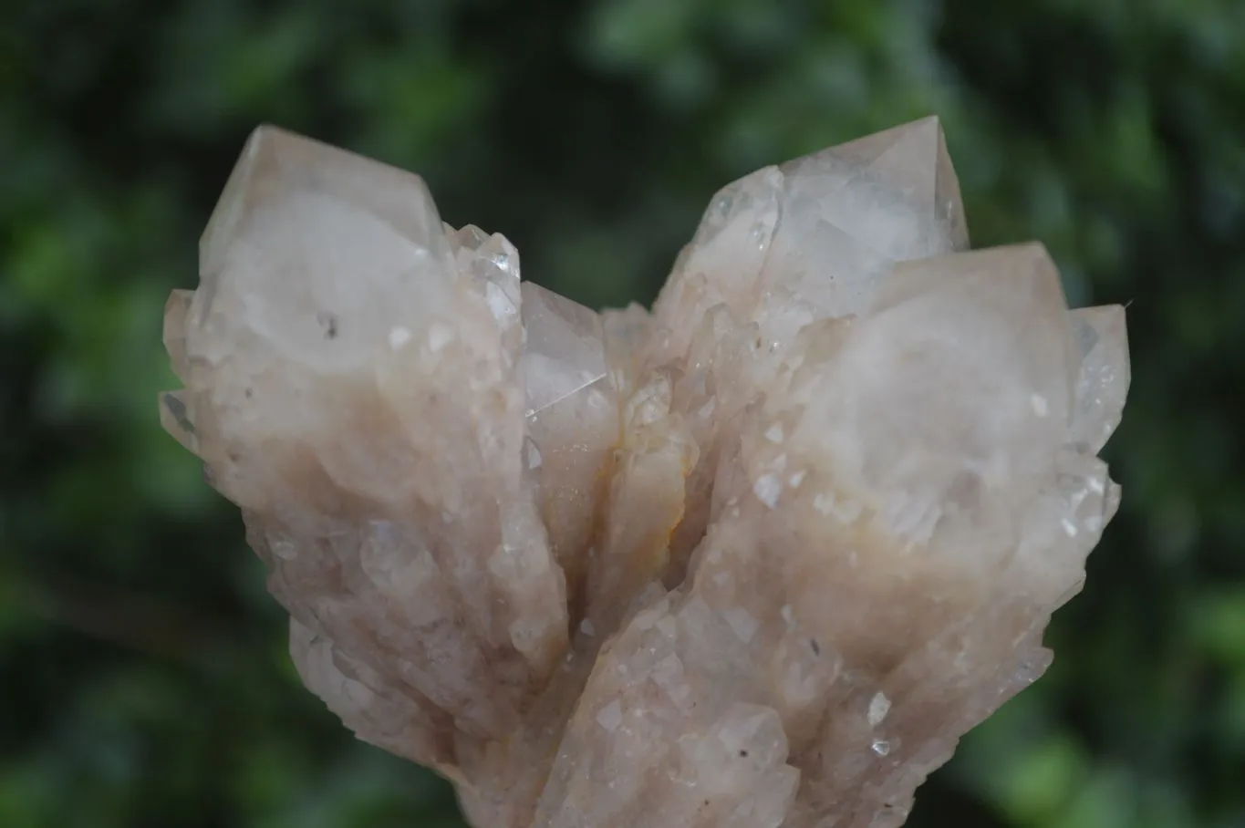 Natural Cascading White Phantom Smokey Quartz Specimens x 3 From Luena, Congo