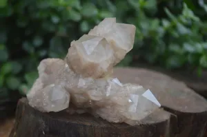 Natural Cascading White Phantom Smokey Quartz Specimens x 3 From Luena, Congo