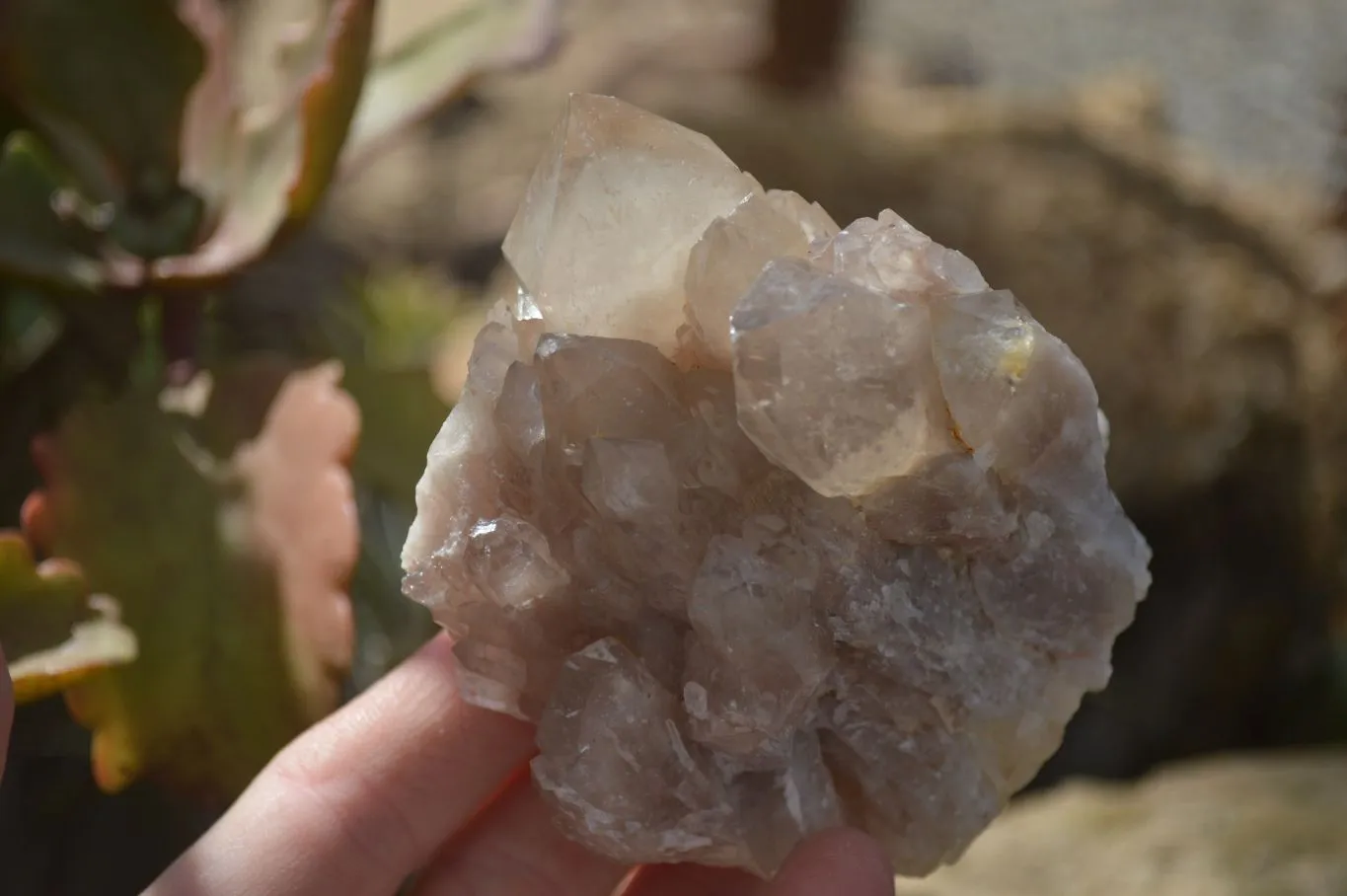 Natural Smokey Quartz Clusters x 4 From Luena, Congo