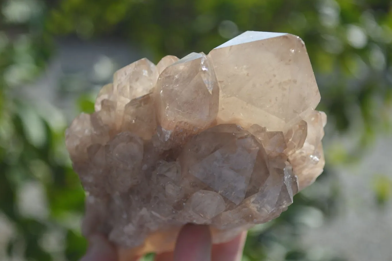 Natural Smokey Quartz Clusters x 4 From Luena, Congo