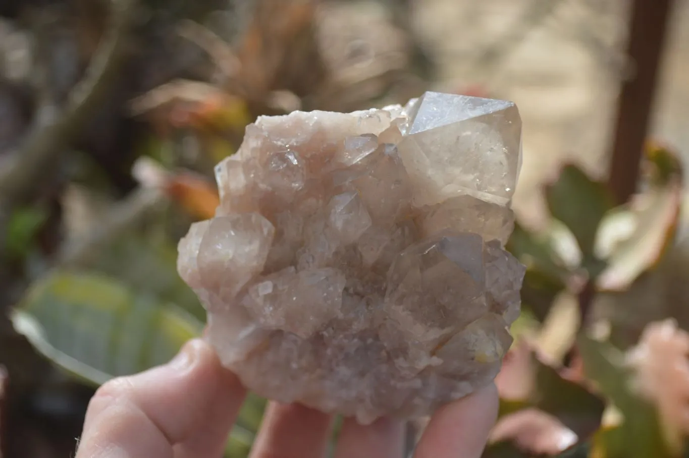 Natural Smokey Quartz Clusters x 4 From Luena, Congo