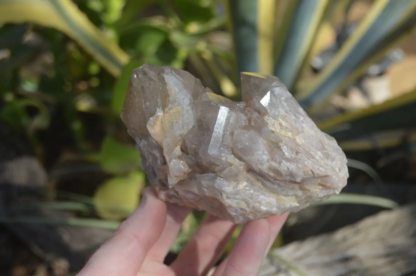 Natural Smokey Quartz Clusters x 4 From Luena, Congo