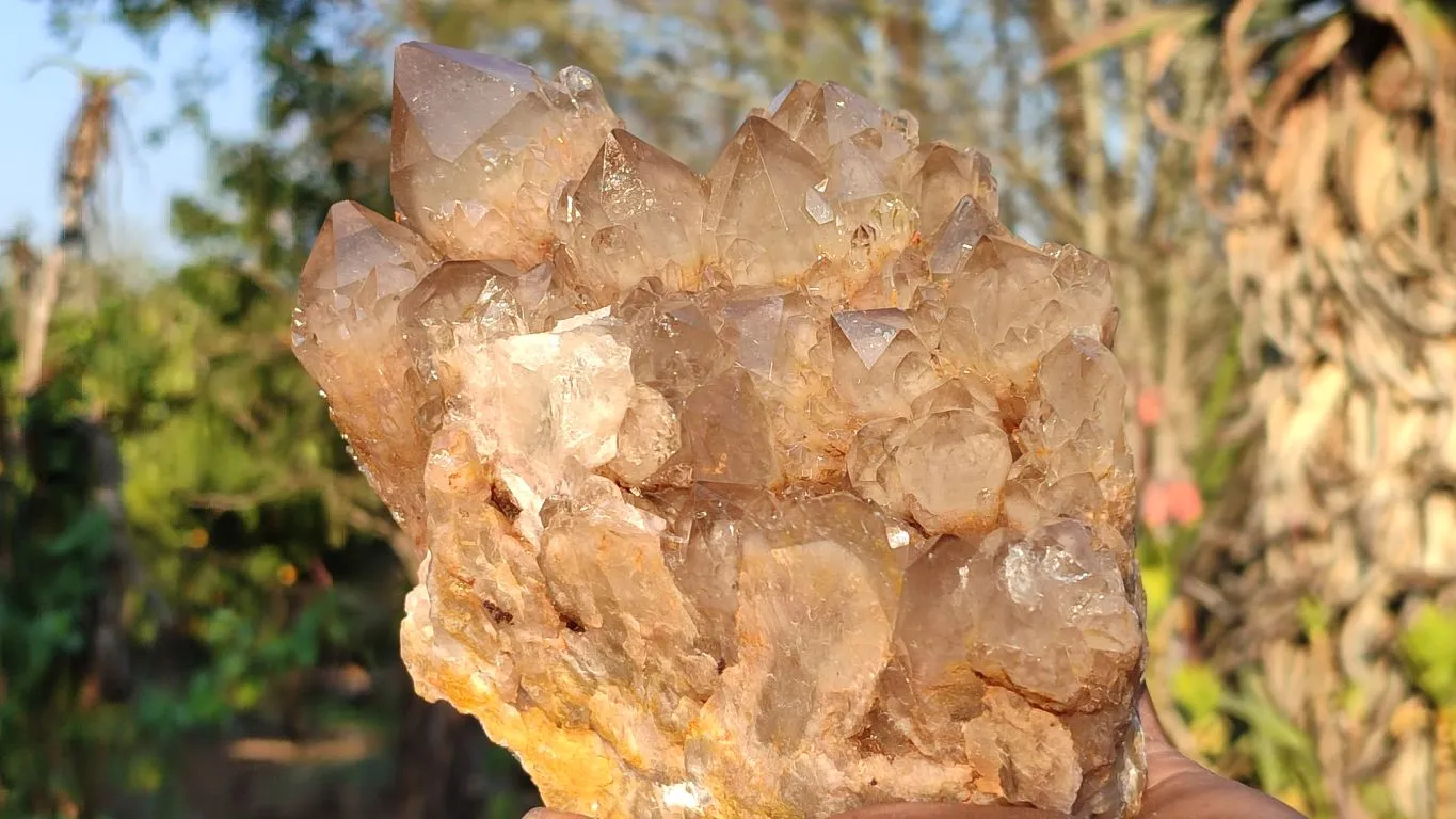 Natural Smokey White Phantom Quartz Cluster x 1 From Luena, Congo