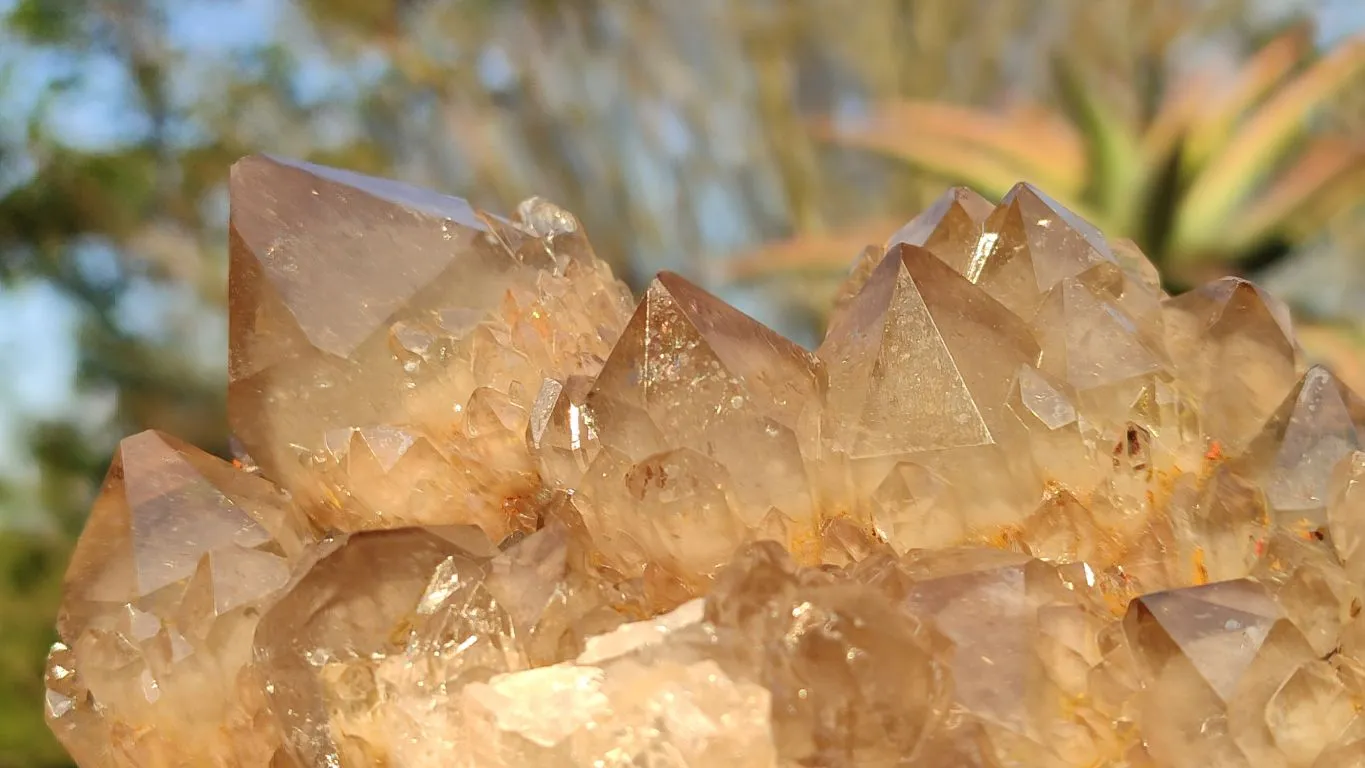 Natural Smokey White Phantom Quartz Cluster x 1 From Luena, Congo