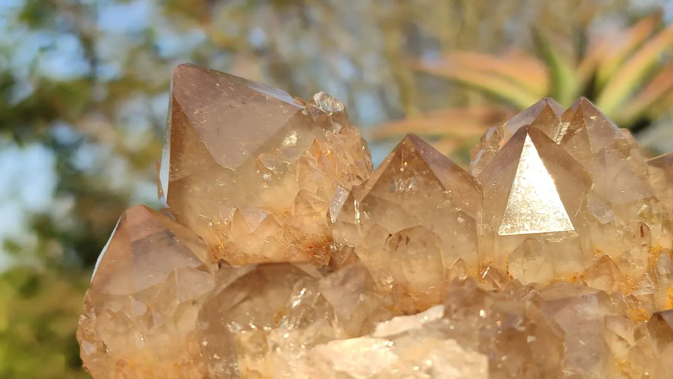 Natural Smokey White Phantom Quartz Cluster x 1 From Luena, Congo