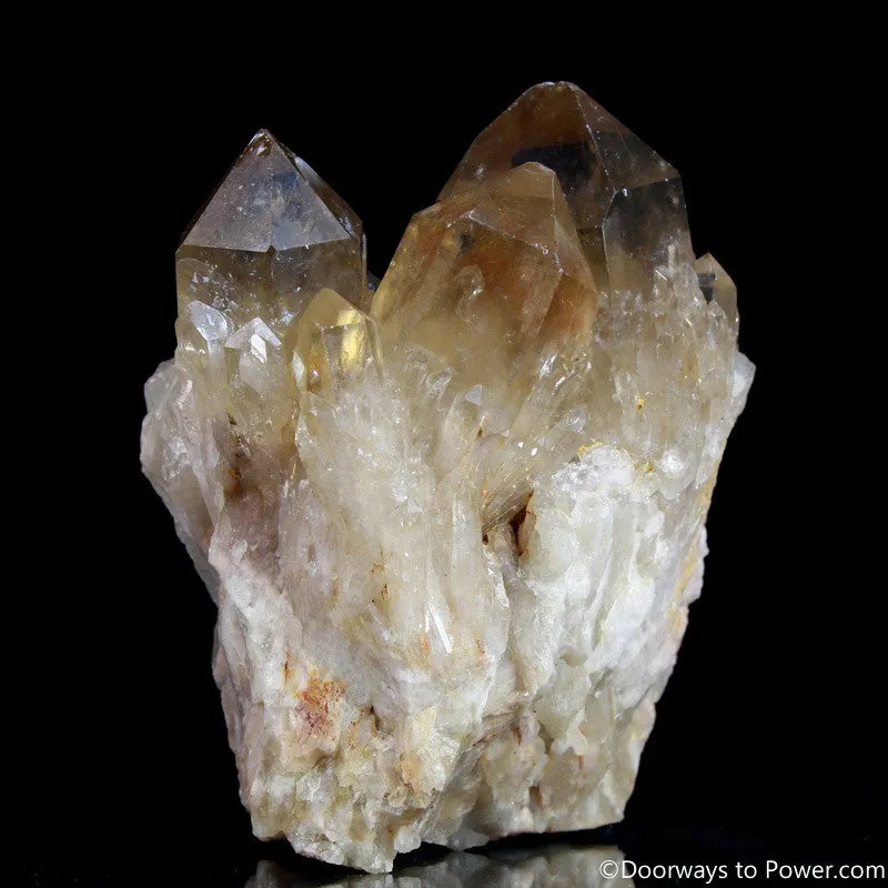 Rare 4" Natural Citrine Lightbrary Record keeper Kundalini Quartz Crystal Cluster