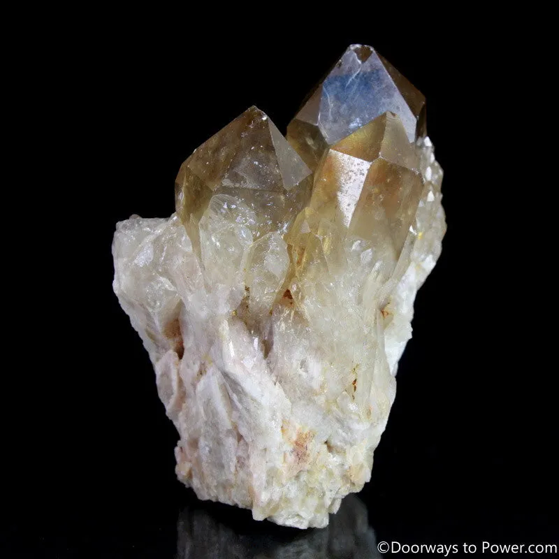 Rare 4" Natural Citrine Lightbrary Record keeper Kundalini Quartz Crystal Cluster