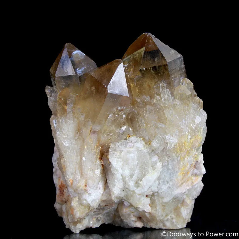 Rare 4" Natural Citrine Lightbrary Record keeper Kundalini Quartz Crystal Cluster