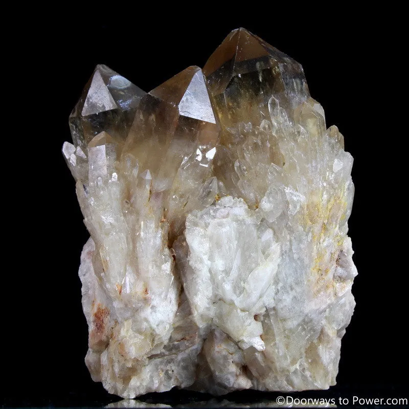 Rare 4" Natural Citrine Lightbrary Record keeper Kundalini Quartz Crystal Cluster