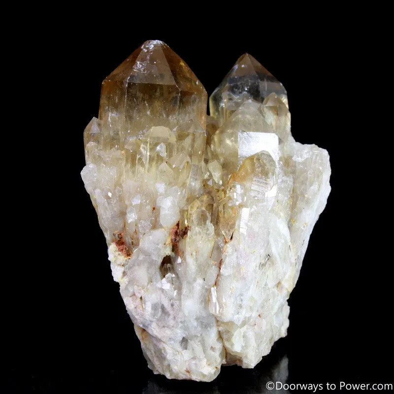 Rare 4" Natural Citrine Lightbrary Record keeper Kundalini Quartz Crystal Cluster