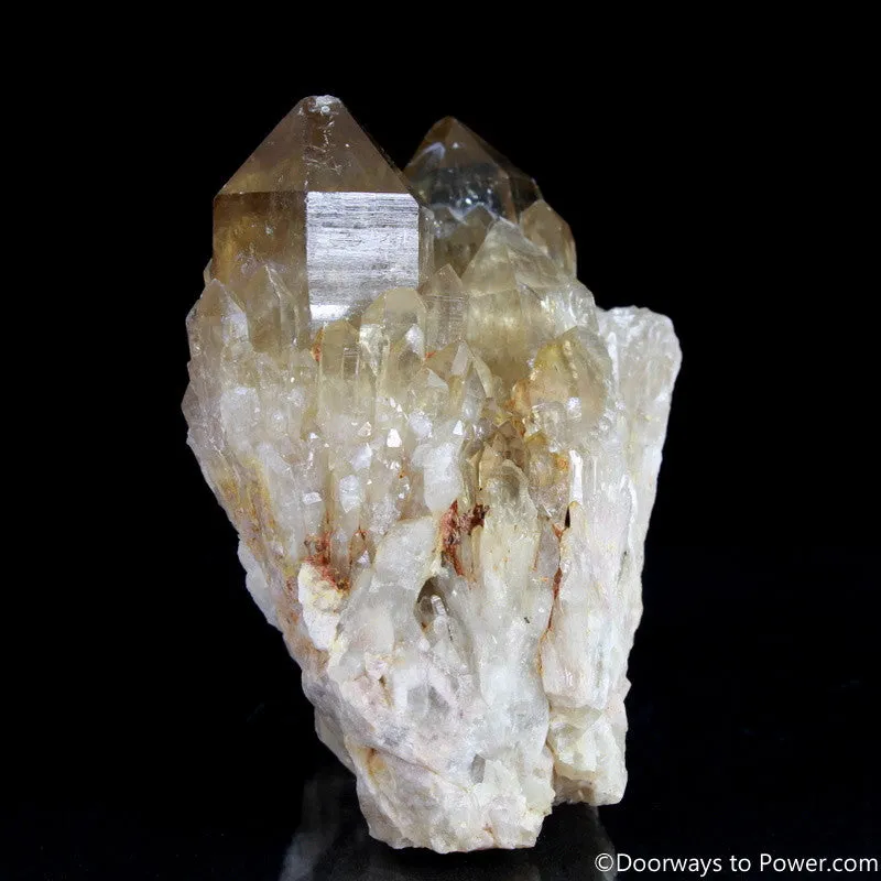 Rare 4" Natural Citrine Lightbrary Record keeper Kundalini Quartz Crystal Cluster